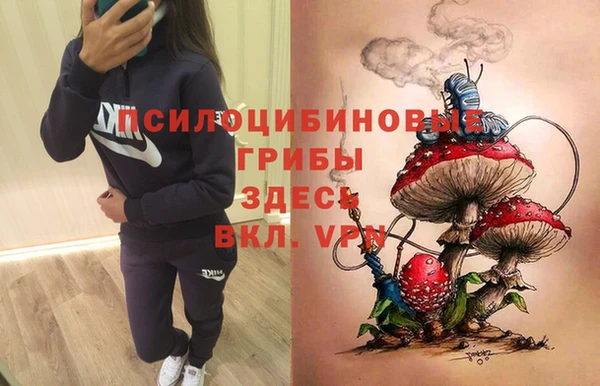 MDMA Premium VHQ Алзамай