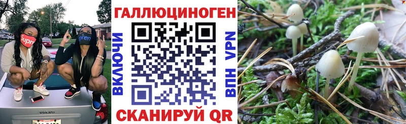 Псилоцибиновые грибы Psilocybe  купить закладку  Макушино 